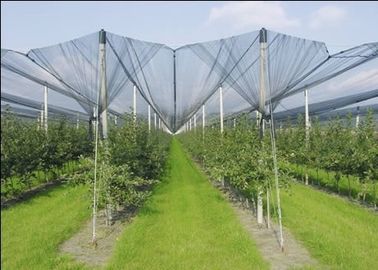 Landwirtschaft dunkelgrünes HDPE Antihagel-Netze, 10% - 20% Schatten-Rate