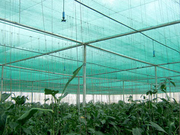 HDPE Sun-Antiuvlandwirtschafts-Schatten-Netz, damit grünes Haus Anlagen schützt