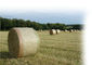 HDPE Heu-Ballen-Netz-Verpackung für die Landwirtschaft, Heu-Ballen, der 1.7m Breite fängt