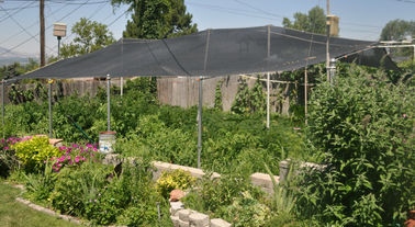 Hohe Schirm-Energie-Garten-Schatten-Filetarbeit für Hof, HDPE mit UV