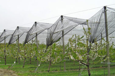 Landwirtschafts-Plastikhagelschutznetze mit Antiuv für Obst und Gemüse