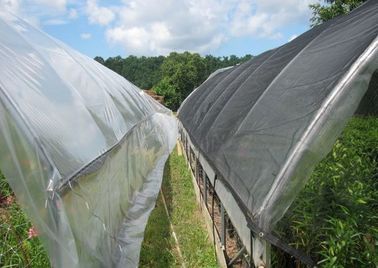 Schwarze Plastikgewächshaus-Schatten-Filetarbeit für Landwirtschaft, 4 x 100m